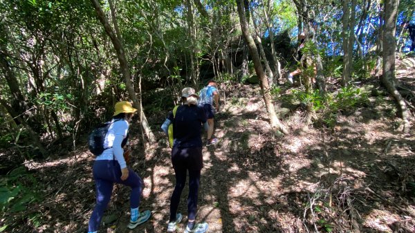 2025微笑山線大縱走尋寶集章任務-Ep.10【五分山系】菁桐煤礦段｜石筍尖 ×2914466