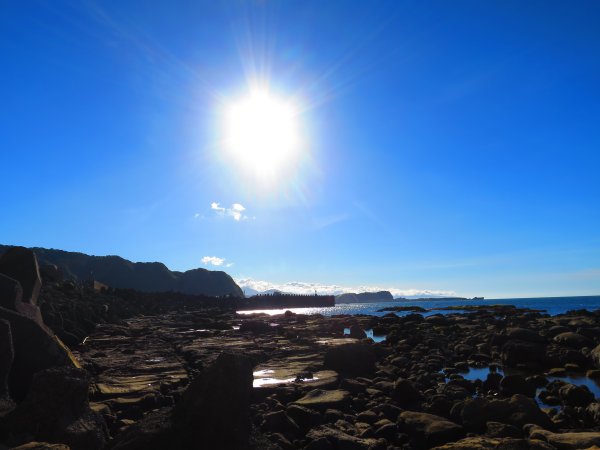 看海最美的神秘步道：到基隆大坪海岸尋找海豹岩2443158