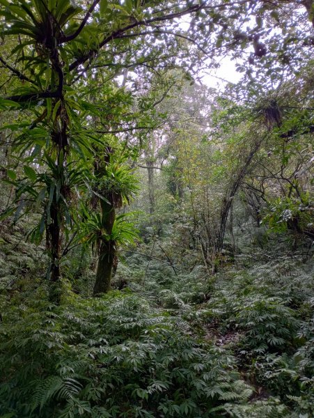 雷公埤山-鱷魚島觀景-小格頭獅頭山2001506
