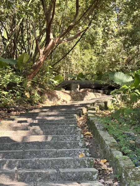 天母古道 + 紗帽山2913895