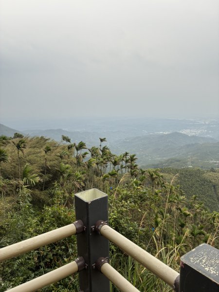 20260406[公車]雲嘉連峰-二尖山+馬鞍山+梨子腳山+太平山+太平山西峰3031076