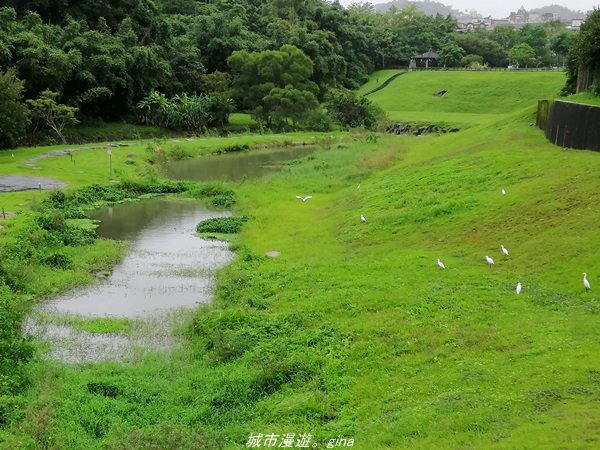 【台北。內湖】翻翻舊照來回味。 親水綠地散散步。大溝溪溪畔步道1412322