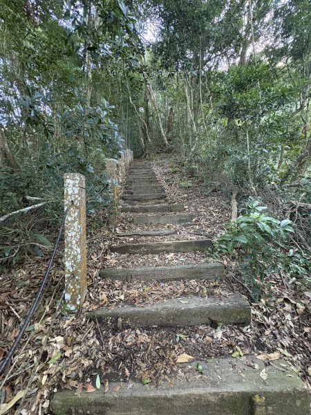20251221嘉南雲峰、石壁山登山步道2968094