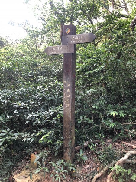 台灣小百岳No.080 里龍山908205