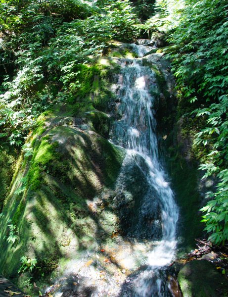 牡丹、燦光寮古道、九份1095930