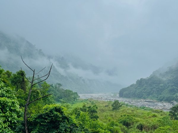 雨下的白毛山步道與白鹿吊橋2805294
