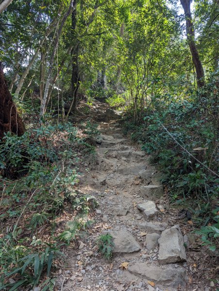 谷關七雄：有點硬陡的波津加山（捎來吊橋進、谷關吊橋出）1861450