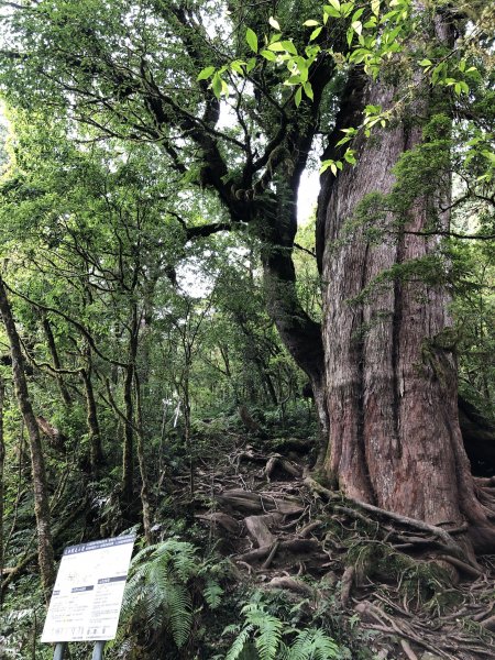 宜蘭 四季 加羅湖633836