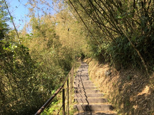 嘉義縣番路鄉二延平山1965556