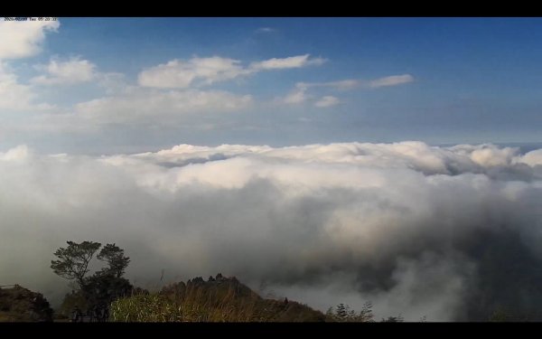 阿里山雲瀑&雲海/富士山直播即時視訊841044