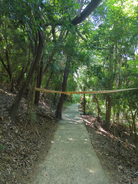 2025.10.05－阿罩霧山、中心瓏步道2908085