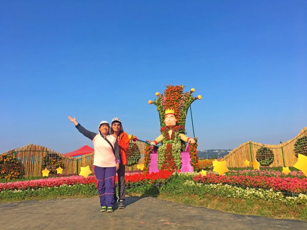 2019新社花海2019/11/12734652