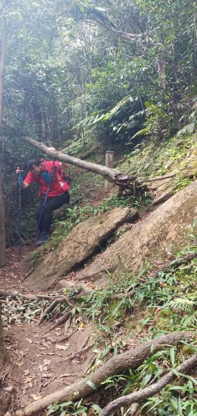 108.10.26 石碇 筆架山南峰北峰716387