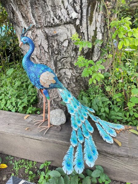 川藏深度之旅33天/A行程2902774