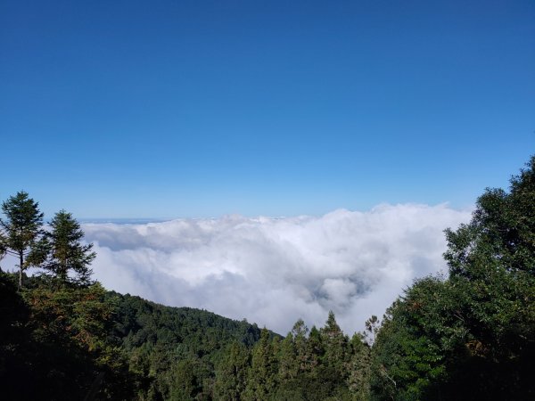 觀霧雲海山林之美2923629