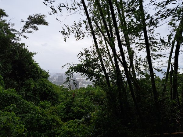 小百岳集起來劍潭親山步道3103135