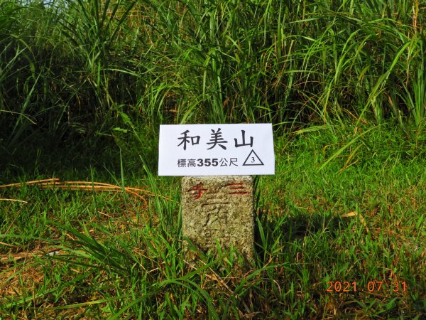 新北 貢寮 和美山(蚊子坑山)1432465