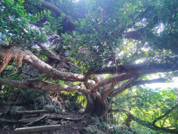 柴山/半屏山2858141