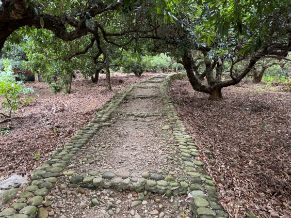 隴頂古道走萬里長城四百坎2672450