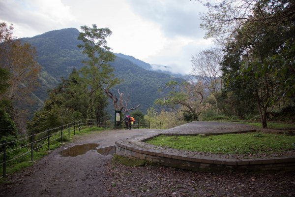 【花蓮】瓦拉米步道春遊823351