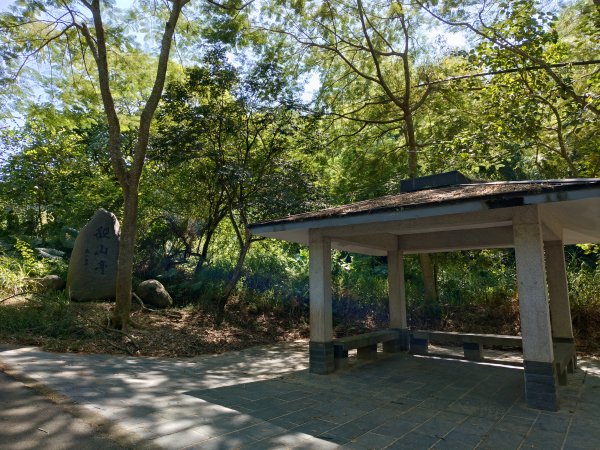 松柏嶺O形2908124