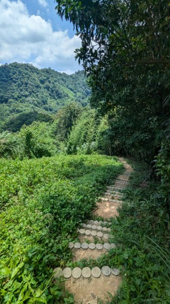 關刀山步道 (出關古道：聖關段)2532813