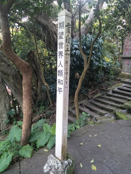 硬漢嶺步道(觀音山)1694069