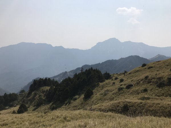 110年4月3日南投 合歡山東峰步道1433078