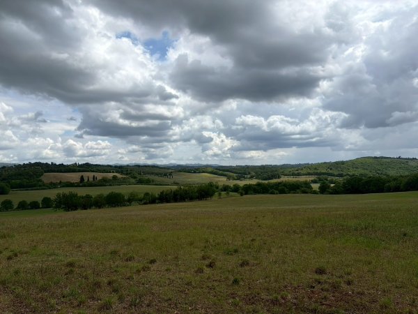 Via Francigena D3: monteriggioni-siena3072814