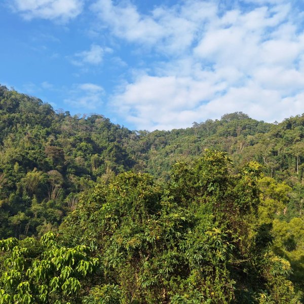 【小百岳50】集集大山完成...2695661