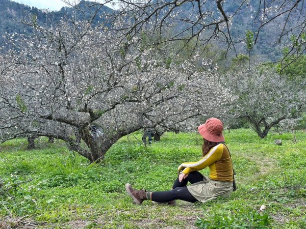 北港溪大峽谷 惠蓀林場2693038