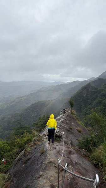 迎新（2026元旦2975593