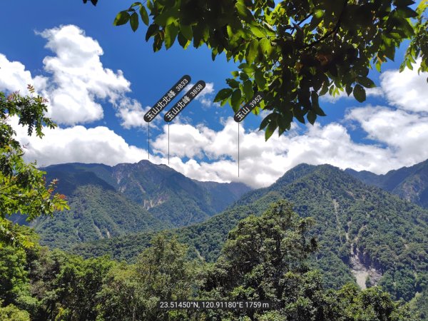 沙里仙林道、沙里仙溪、同富山/埔沙山、東埔山、阿毛巨木2812449