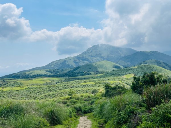 1140621冷水坑-擎天崗-石梯嶺2817705