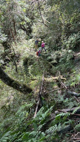 太平山運材軌道見晴線2588835