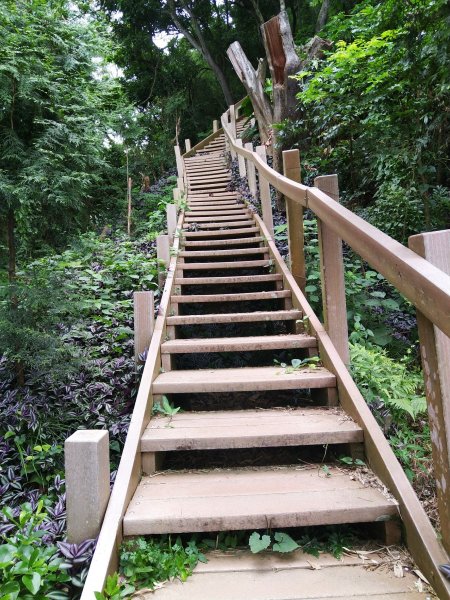 挑戰1063階的木棧階梯。 新田登山步道776935