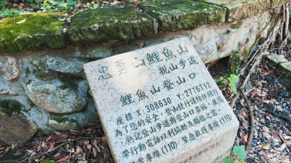 台北健行｜金面山縱走鯉魚山：大岩壁攀爬與山林驚喜3118502
