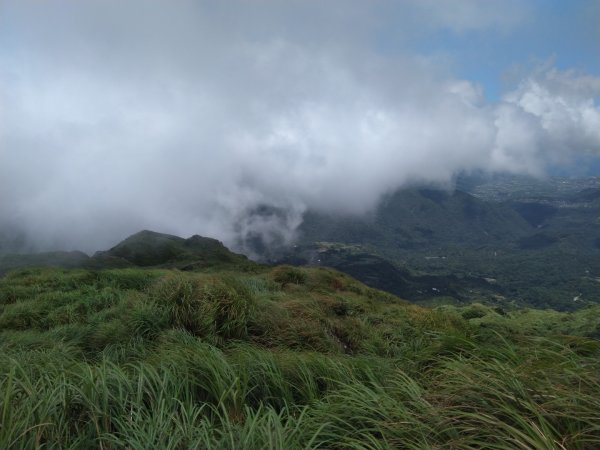 20190802 七星山北峰642228