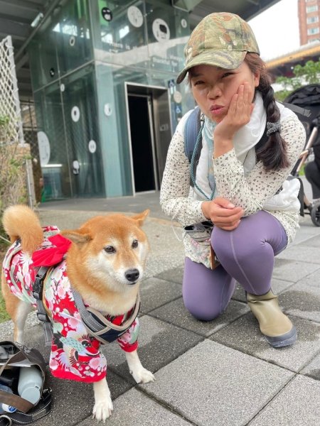 雨天備案💙 台灣博物館的古生代館-台大動植物館免費參觀-北投♨️季2929277