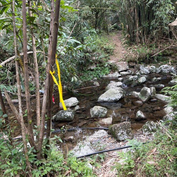 20231118_鵲子山步道（宜蘭小百岳）2763008