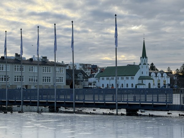 [紐約馬之行-21] 2025_1104 托寧湖(Tjörnin)2946354