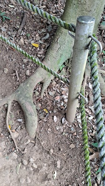 台北大縱走第一段1249087