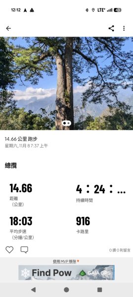 【中級山】五星級步道，谷關七雄馬崙山3014117