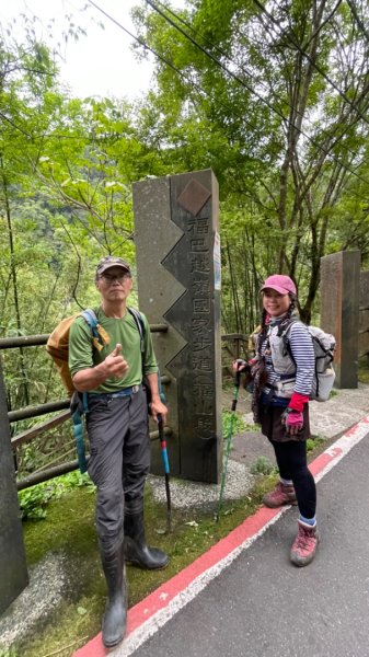 山車廣山.福巴越嶺O-神木群-水晶蘭-根結蘭2756340