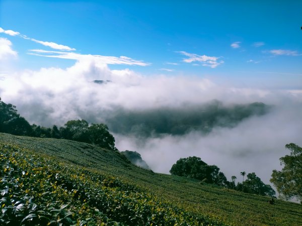 雲嘉連峰2365687