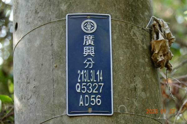 屏東 三地門 竹子崙南山、竹子崙北山2019769