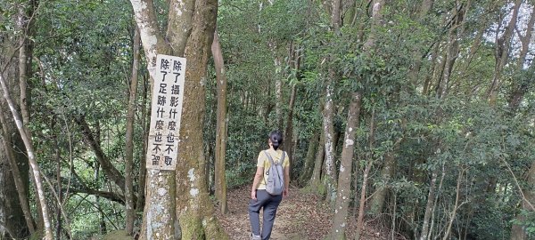 2024/05/10-仙山登山步道2502667