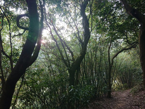 福人登山步道-光復土地公-大北坑2477049