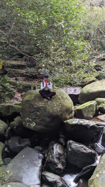 東勢大崙、東勢坑山、觀音湖山O走2986326