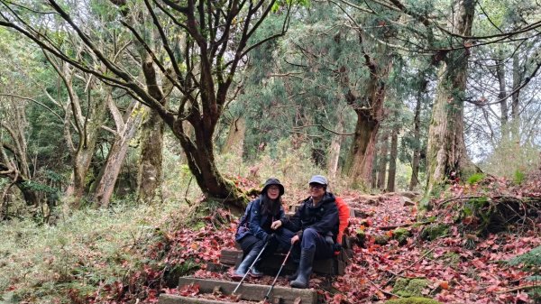 神阿縱走~台灣難抵極~大塔山2971480